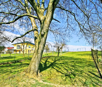 vakantiewoningen huren in Ritzing Mittelburgenland, Burgenland, Oostenrijk | vakantiehuis voor 6 personen